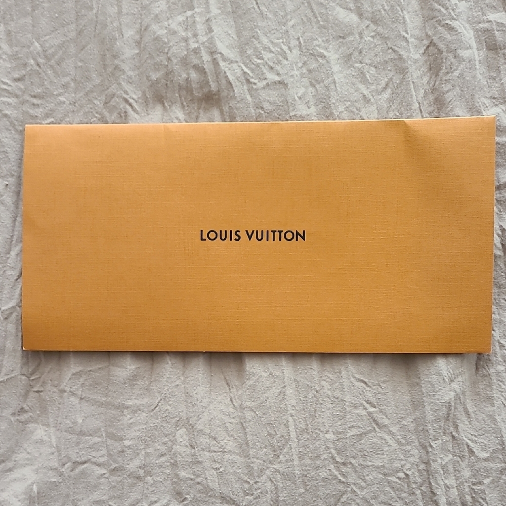 Louis Vuitton Envelope